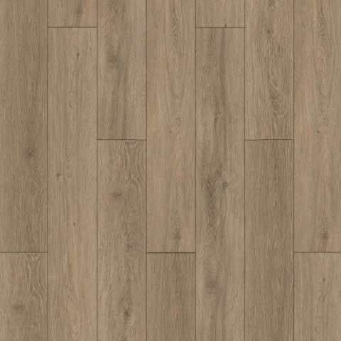 Vasa oak